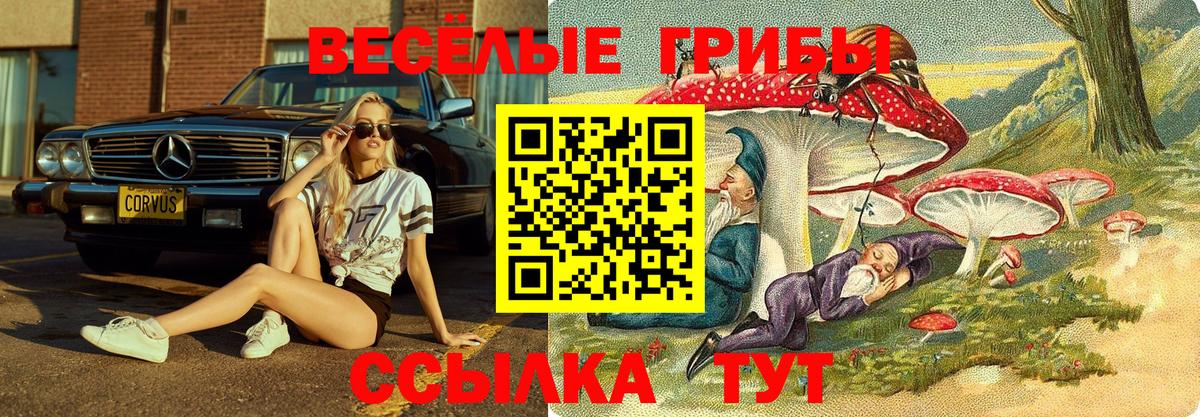 Азнакаево  Галлюциногенные грибы мухоморы  Вход с VPN 